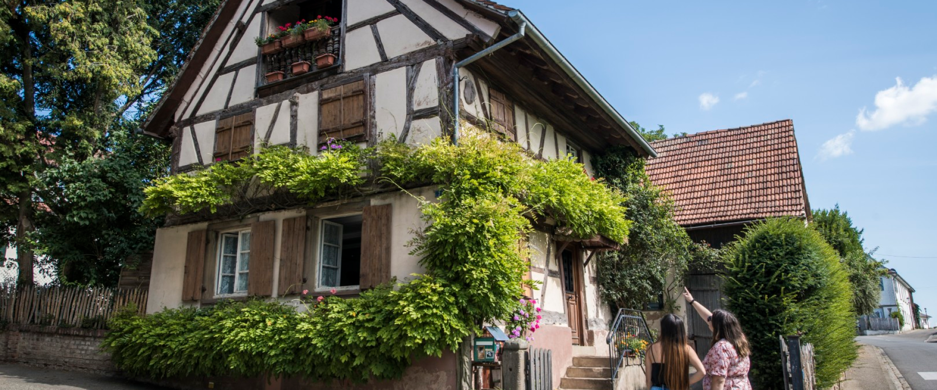 Pays de Haguenau